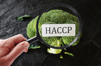 Chứng nhận HACCP – Hệ thống phân tích mối nguy và kiểm soát điểm tới hạn