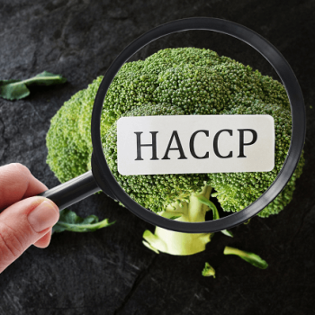 Chứng nhận HACCP – Hệ thống Quản lý An toàn Thực phẩm